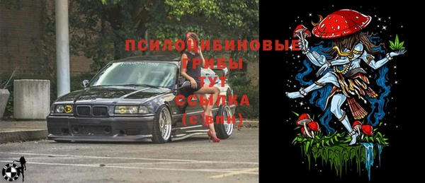 твердый Алзамай