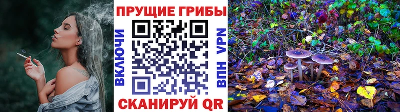 Галлюциногенные грибы Psilocybe  Протвино 
